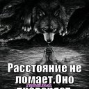 ���� No & & &, ����������, 31 ��� - ��������� 3 ������� 2023 � ������ ���� ����������