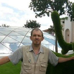 ���������, �����, 56 ���