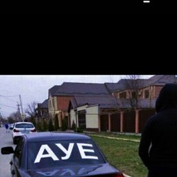 �����, ������, 38 ���