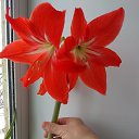 ���� ������, ������, 67 ��� - ��������� 2 ������� 2023 � ������ ���� ����������
