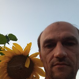 ���� ����, �������, 46 ��� - ��������� 10 ������� 2023
