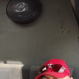 ����, ������, 46 ���