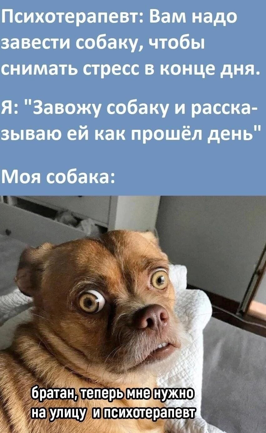 ***Victoria Viktorovna*** - 8  2023  04:48