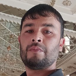 ������, �����, 37 ���