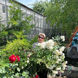 ���, ������, 53 ����