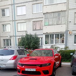 ��������, ������, 40 ���