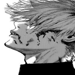 ����, �����-���������, 20 ���