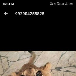 �����, ������, 20 ���