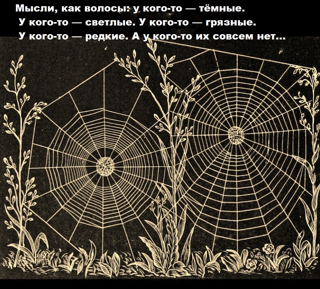 " ") - 2  2023  14:13