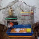 ���� ������, ������, 44 ���� - ��������� 6 ���� 2023