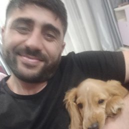 ����, �����������, 40 ���