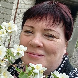 ������, �������, 52 ����