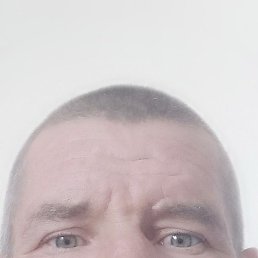, , 46 