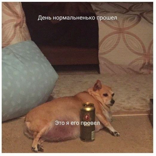    - 2  2023  17:22