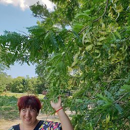 ������, ������, 38 ���