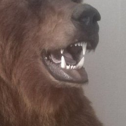 ������, ���������, 42 ����