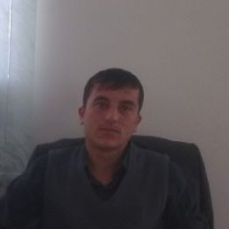 Shod, �����, 38 ���