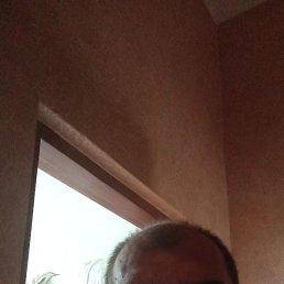 , , 43 