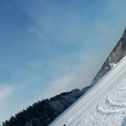 �����, ����������, 38 ���