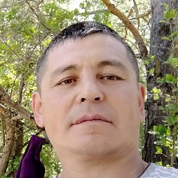 ������, ������, 49 ���