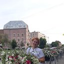 ���� �����, ���������, 41 ��� - ��������� 26 ���� 2023 � ������ ���� ����������