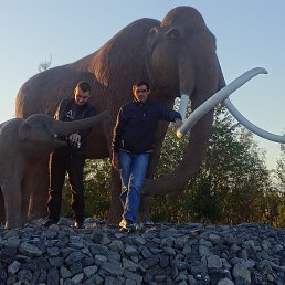 �����, ���������, 39 ���