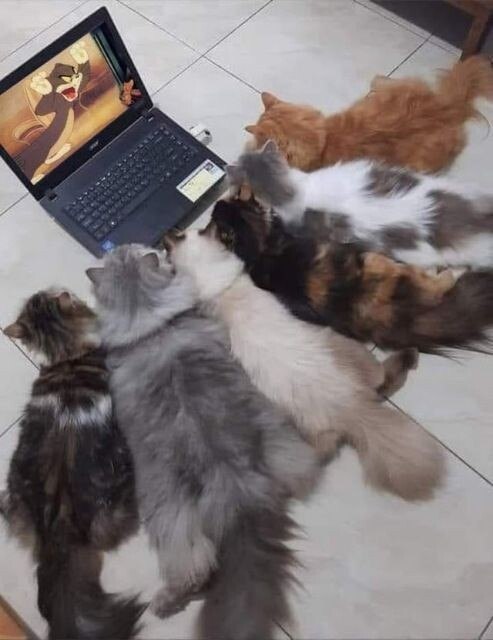  )