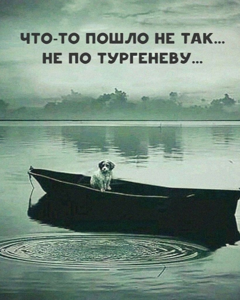  ... - 24  2023  23:11