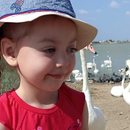 �., ������, 62 ����