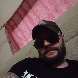 ������, ���������, 41 ���