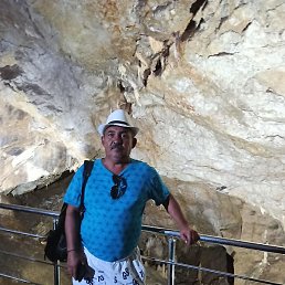 ����, �����-���������, 56 ���