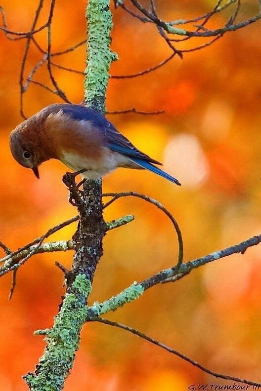  ,   ...     ... ~~~~~~~~~~~~~~~ - 4