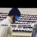 ���� ������, ������, 29 ��� - ��������� 15 �������� 2023