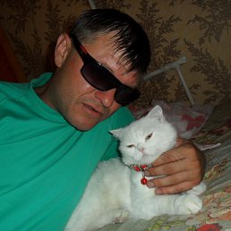 �������, ��������, 44 ����