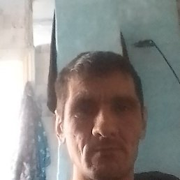 ˸��, ������, 43 ����