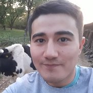 , 29 , 