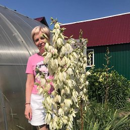 �����, �����, 65 ���