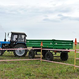 Med_1976174, ���������, 51 ���