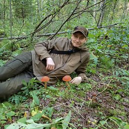 ���������, �����-���������, 42 ����