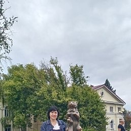 �������, ������, 56 ���