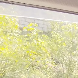 �����, ��������, 34 ����