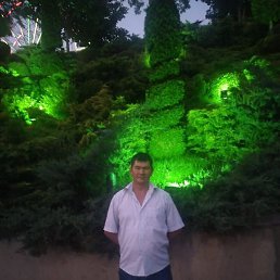 ��������, ������, 48 ���