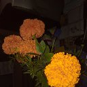 ���� ������, ������������, 68 ��� - ��������� 6 �������� 2023