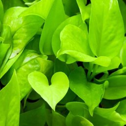 Фото Полина, Москва, 20 лет Полина, Москва, 20 лет