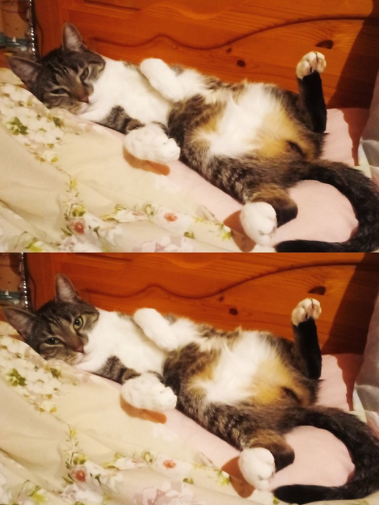  !