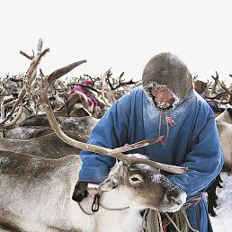 �������, ������, 39 ���