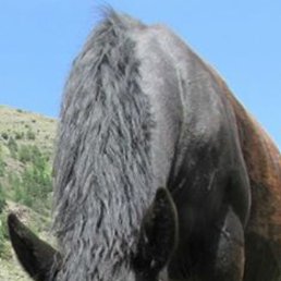 ���� ������, ���������, 33 ���� - ��������� 29 ������� 2023