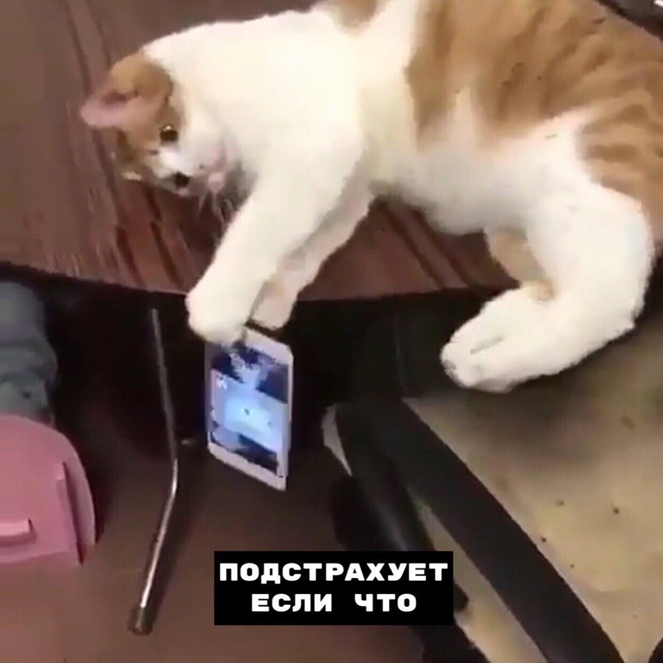   ,    ... - 3