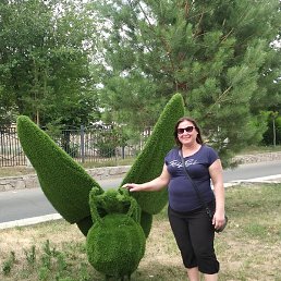 �����, ����������, 48 ���