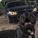 ���� ����, ������, 37 ��� - ��������� 21 ������ 2023